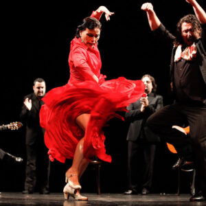 Noche de Flamenco